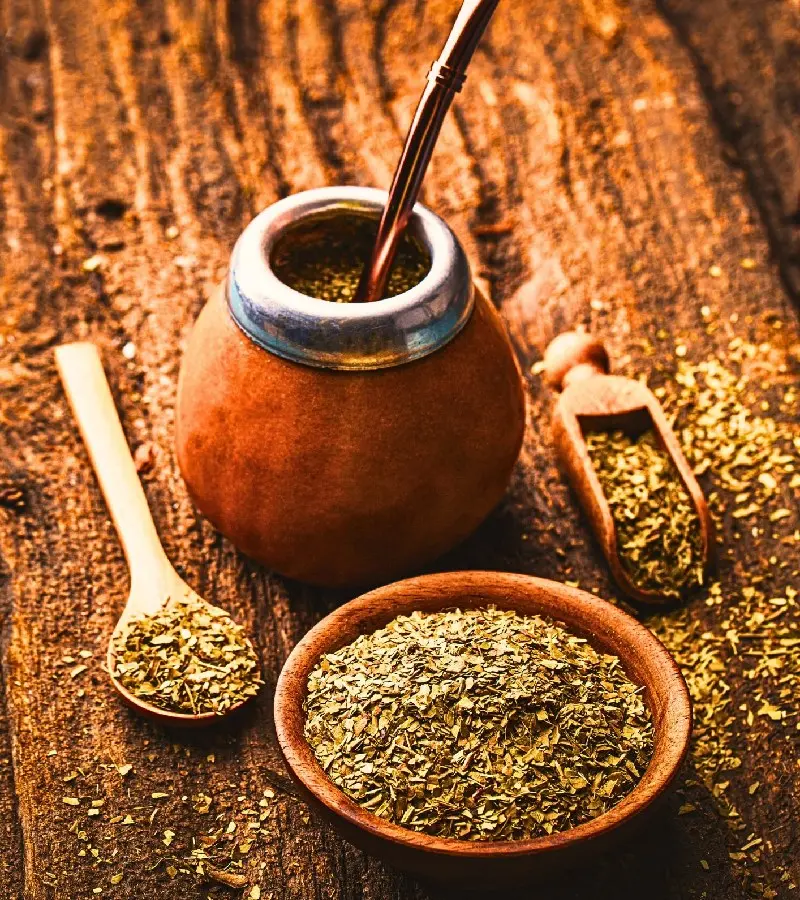 Tr&agrave; Yerba Mate: M&oacute;n thảo mộc tiếp năng lượng số 1 Nam Mỹ 2