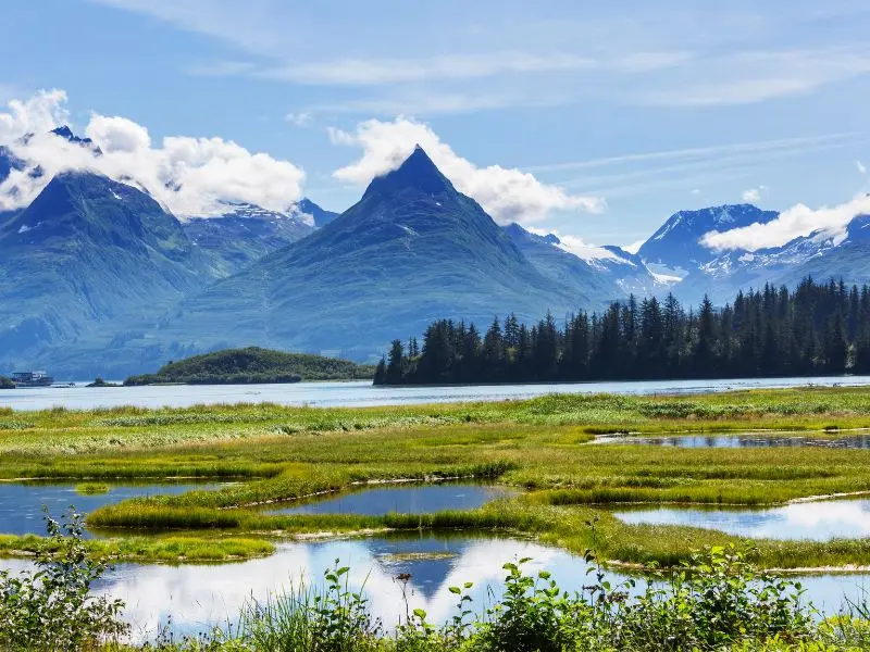 Anchorage, gh&eacute; thăm th&agrave;nh phố th&uacute; vị bật nhất Alaska 4