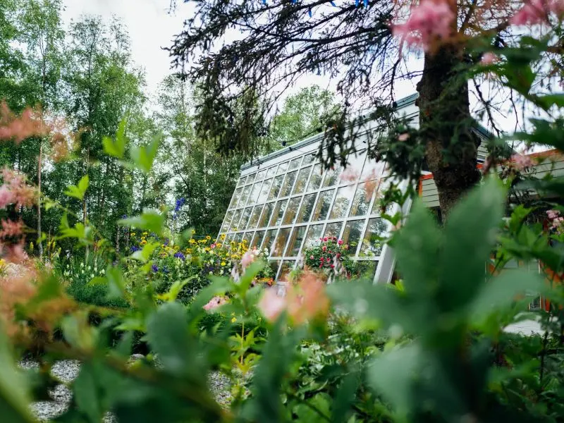 Anchorage, gh&eacute; thăm th&agrave;nh phố th&uacute; vị bật nhất Alaska 16