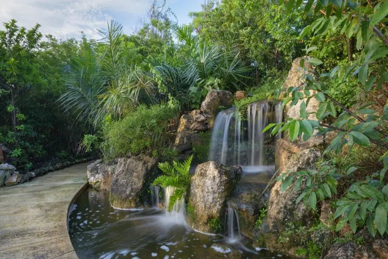Chinh phục Bahamas, thi&ecirc;n đường Đảo lợn xinh đẹp tại T&acirc;y Ấn 12
