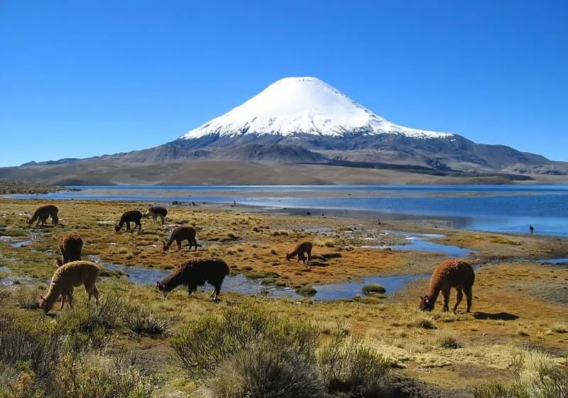 Du lịch Chile, kh&aacute;m ph&aacute; dấu ấn Mỹ Latinh cổ đại 9