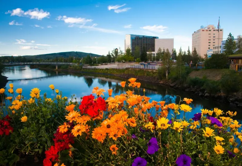 Du lịch Fairbanks: Th&agrave;nh phố V&agrave;ng kỳ vĩ giữa l&ograve;ng Alaska 6