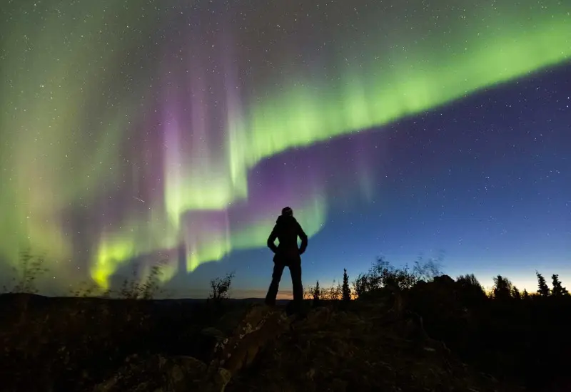 Du lịch Fairbanks: Th&agrave;nh phố V&agrave;ng kỳ vĩ giữa l&ograve;ng Alaska 5