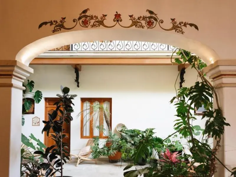 Du lịch Mexico, b&iacute; quyết cho bạn c&oacute; kỳ nghỉ ho&agrave;n hảo 11