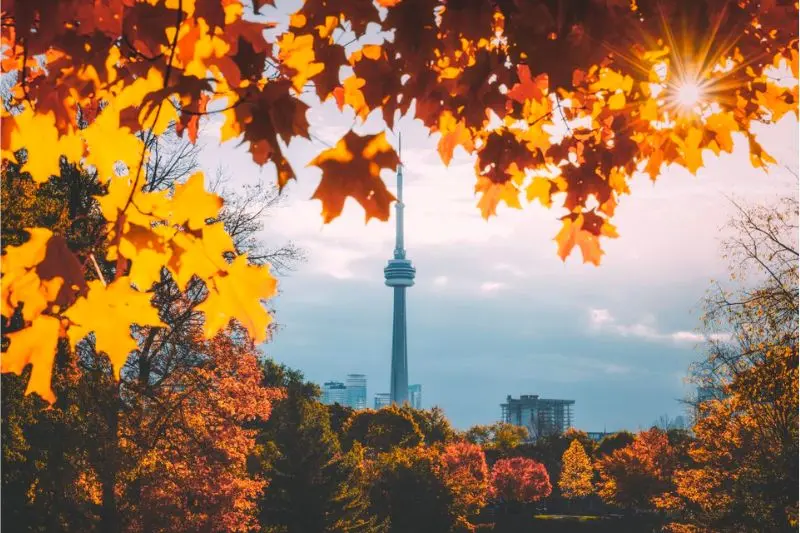Du lịch Toronto, th&agrave;nh phố đ&ocirc;ng d&acirc;n đa văn h&oacute;a h&agrave;ng đầu thế giới 14