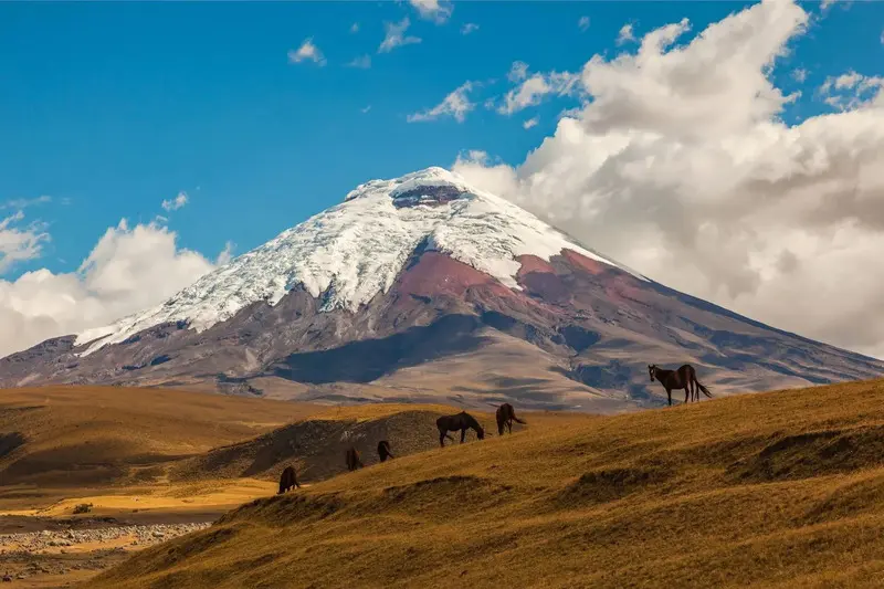 Ecuador và thiên nhiên đa sắc kỳ diệu ở Nam Mỹ 5