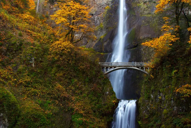 Gh&eacute; thăm Oregon, vi&ecirc;n ngọc xanh của v&ugrave;ng T&acirc;y Bắc nước Mỹ 9
