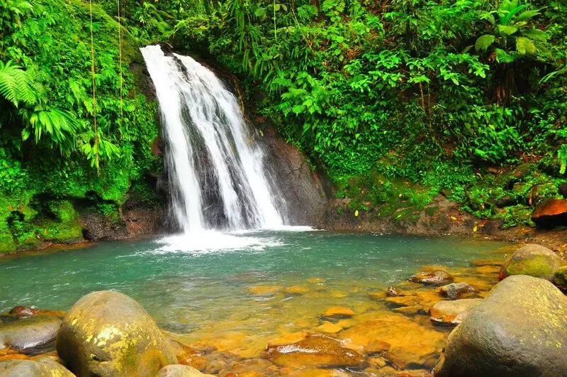 Kh&aacute;m ph&aacute; h&ograve;n ngọc Guadeloupe của v&ugrave;ng Caribe tuyệt sắc 10