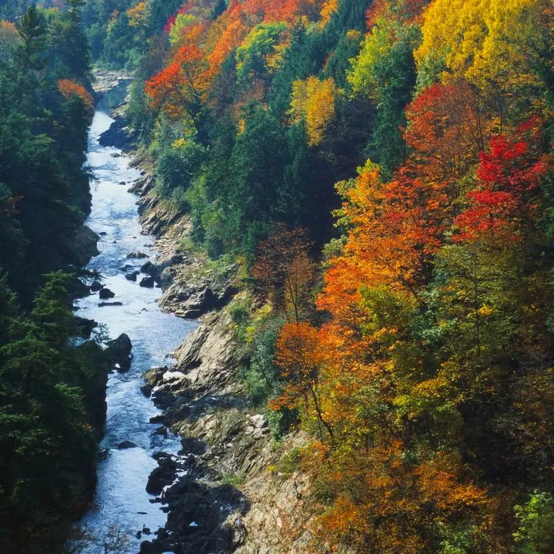 Kh&aacute;m ph&aacute; tiểu bang Vermont y&ecirc;n b&igrave;nh, thơ mộng của Mỹ 11