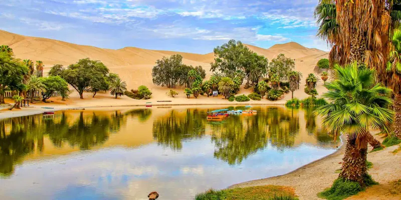 Khám phá vẻ đẹp của Huacachina, viên ngọc giữa sa mạc Peru 3