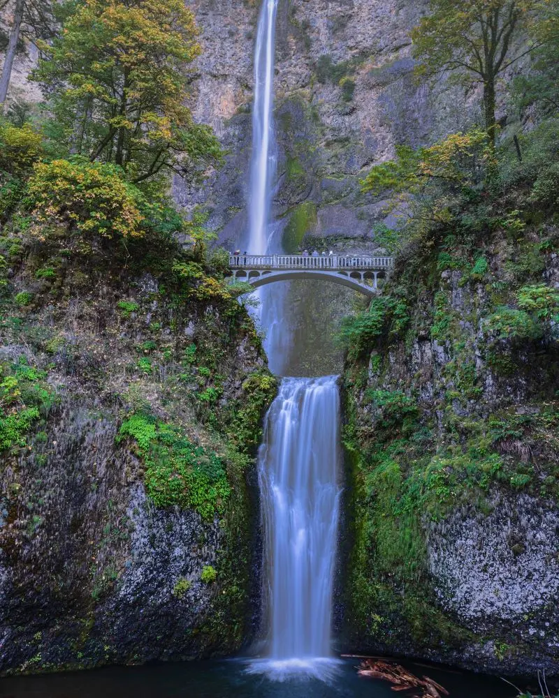 Kinh nghiệm du lịch Portland, th&agrave;nh phố hoa hồng l&atilde;ng mạn 4