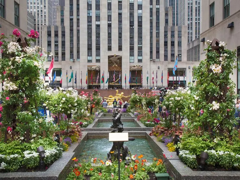 Lạc lối ở Rockefeller Center: Ốc đảo văn h&oacute;a giữa l&ograve;ng New York 8