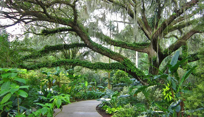 Orlando, nơi đ&ocirc; th&agrave;nh nhộn nhịp h&ograve;a c&ugrave;ng thi&ecirc;n nhi&ecirc;n trong vắt 10