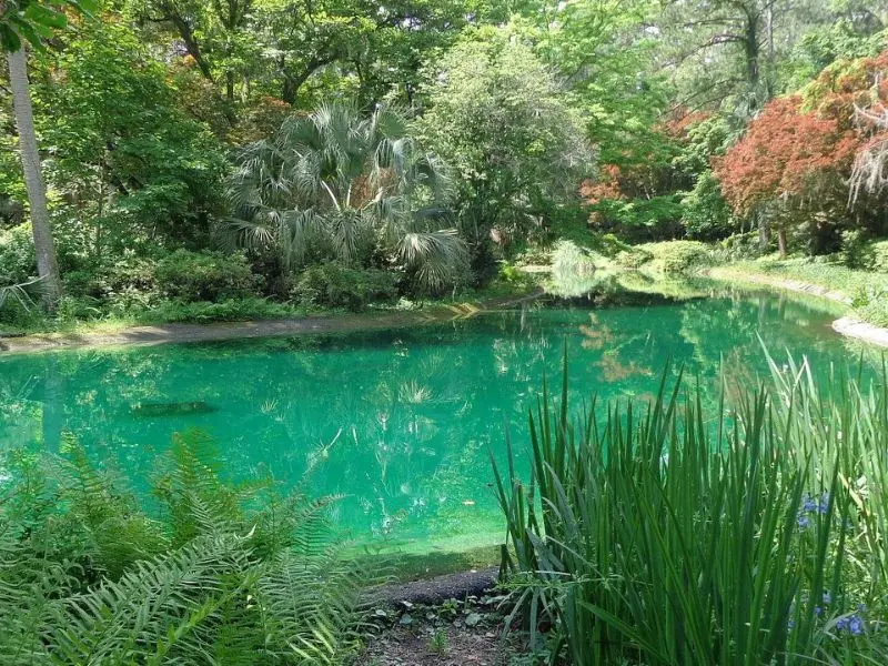 Tallahassee: H&agrave;nh tr&igrave;nh kh&aacute;m ph&aacute; thủ đ&ocirc; y&ecirc;n b&igrave;nh của Florida 4