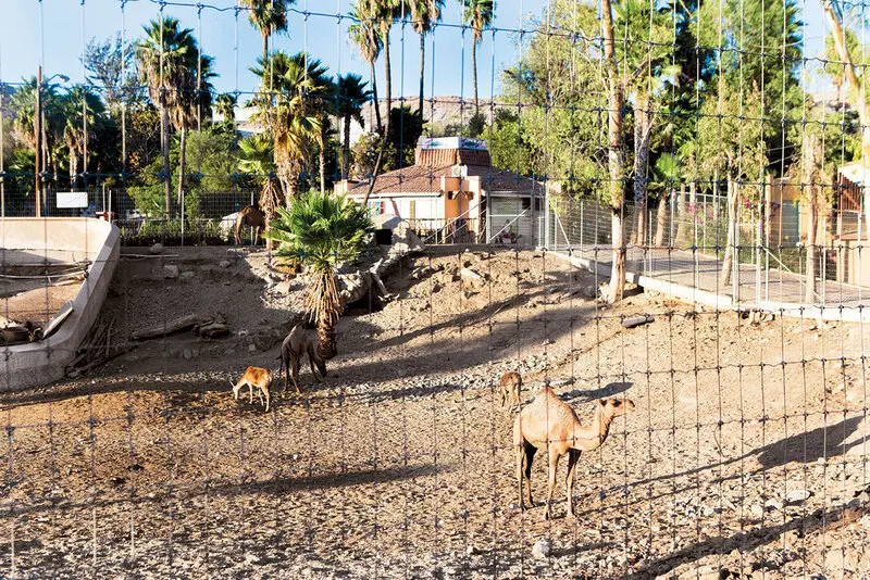 Tijuana Mexico v&ugrave;ng bi&ecirc;n giới sầm uất nhất thế giới 7