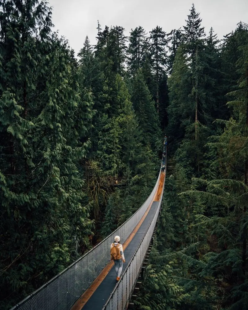 Vancouver, th&agrave;nh phố cảng căng tr&agrave;n nhựa sống ở T&acirc;y Canada 7