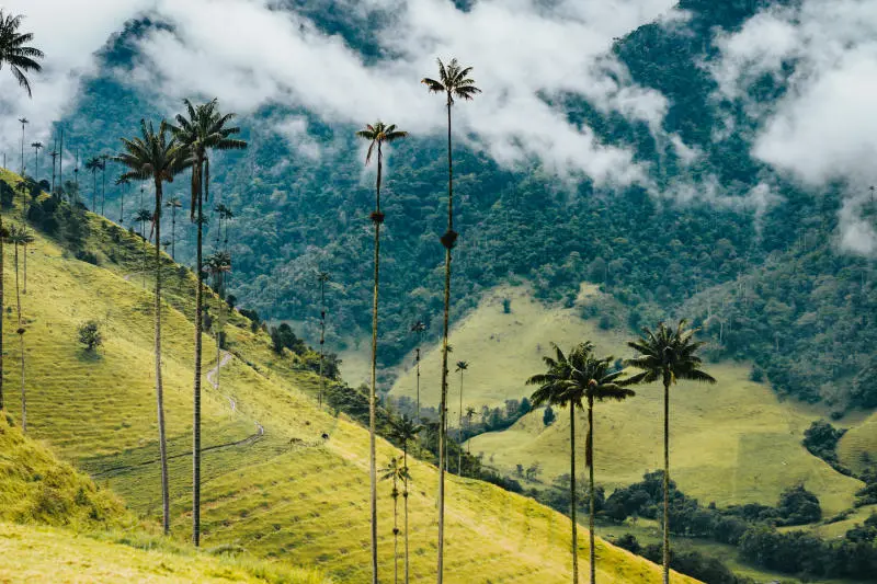 Vi vu Colombia đa sắc màu với những trải nghiệm độc đáo 8