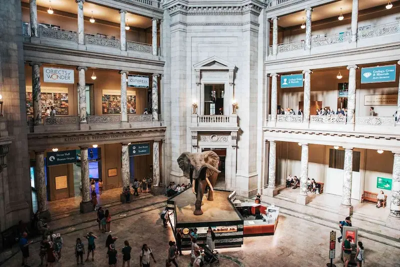 Washington D.C: 6 địa danh nổi tiếng và kinh nghiệm du lịch 8
