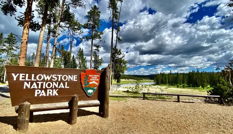 Yellowstone: Vườn quốc gia lâu đời nhất nước Mỹ và thế giới 3