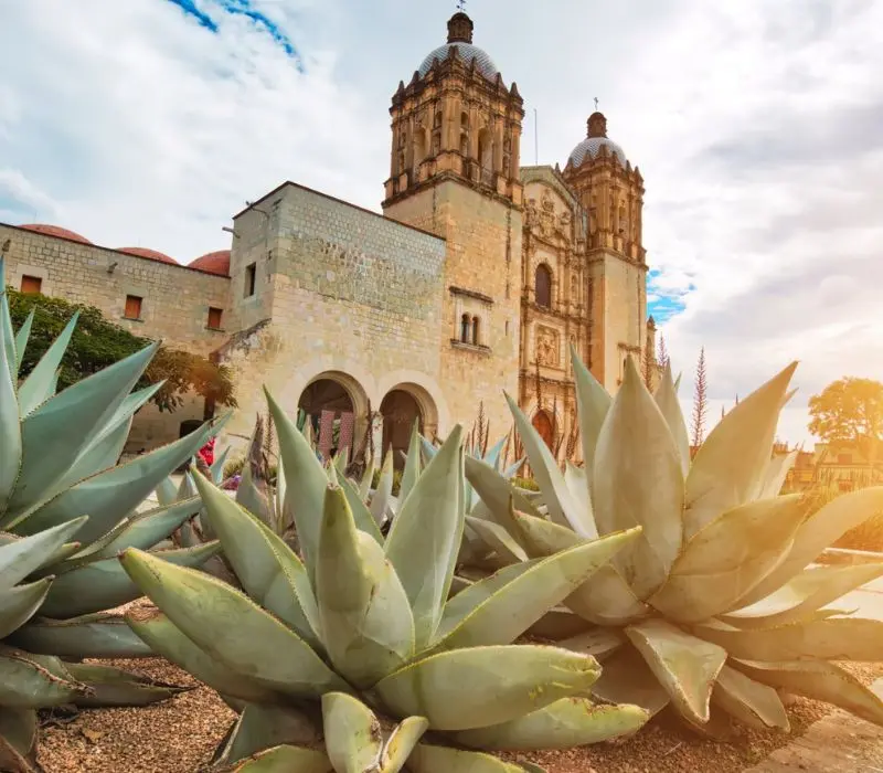 Oaxaca thung lũng rực rỡ nét văn hóa bản địa ở Mexico