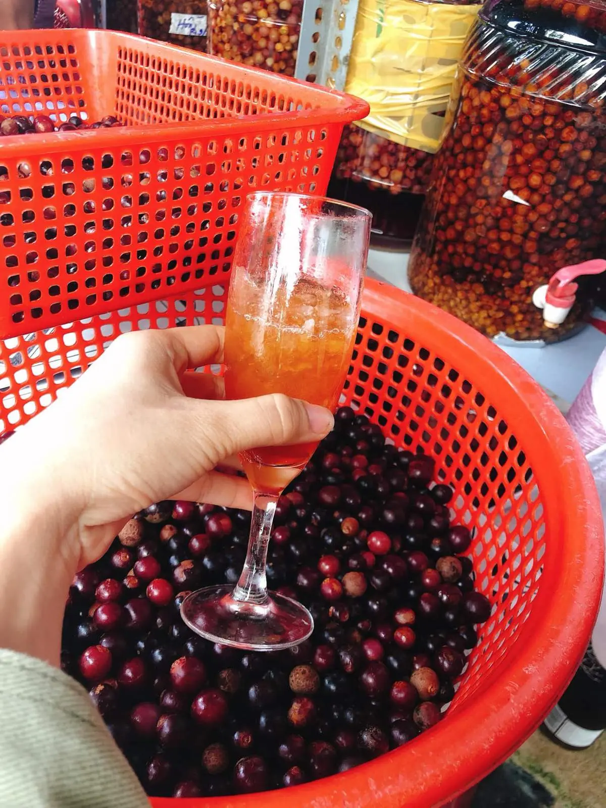Hương vị Rượu nho rừng C&ocirc;n Đảo l&agrave;m đốn tim biết bao người 3