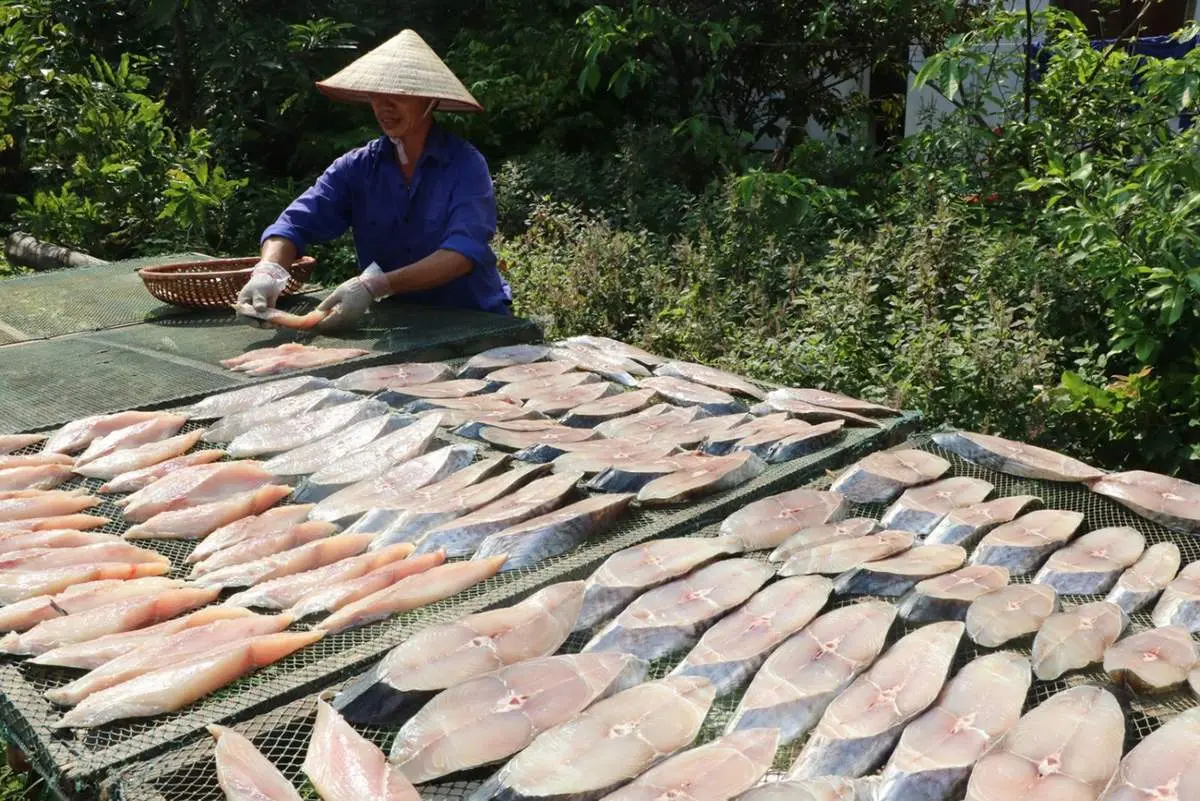 Ng&acirc;y ngất với đặc sản C&aacute; thu một nắng C&ocirc;n Đảo 3