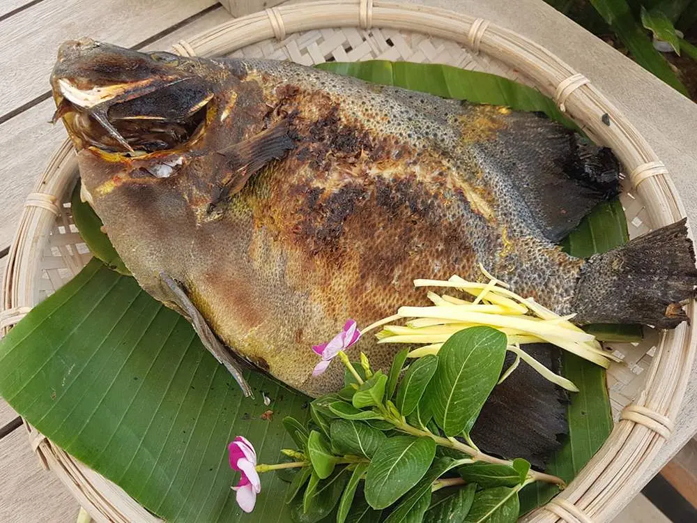 Thưởng thức đặc sản C&aacute; nanh heo C&ocirc;n Đảo nức tiếng gần xa 6