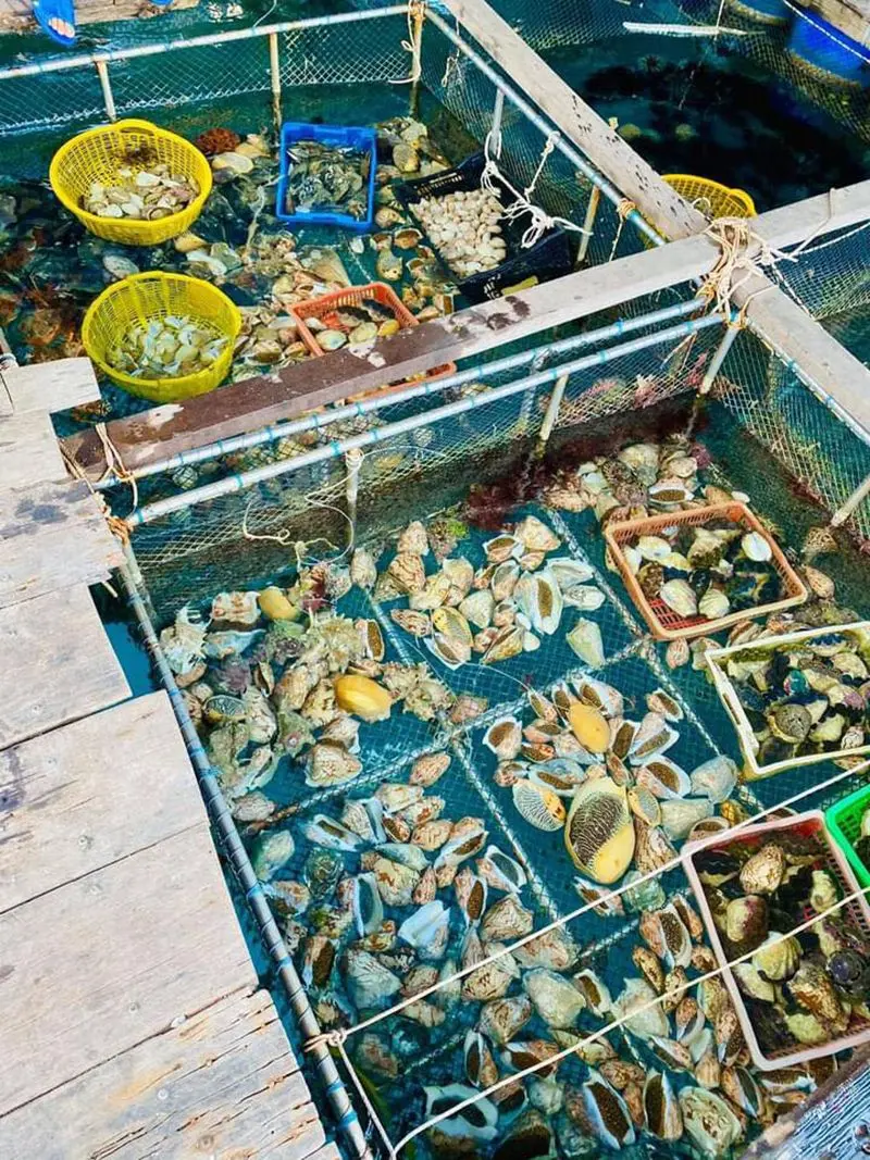 Top 7 nh&agrave; h&agrave;ng C&ocirc;n Đảo nổi tiếng bạn kh&ocirc;ng n&ecirc;n bỏ qua 9