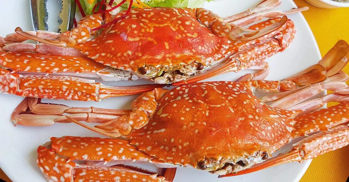Thưởng thức những món ăn siêu ngon từ Ghẹ Côn Đảo