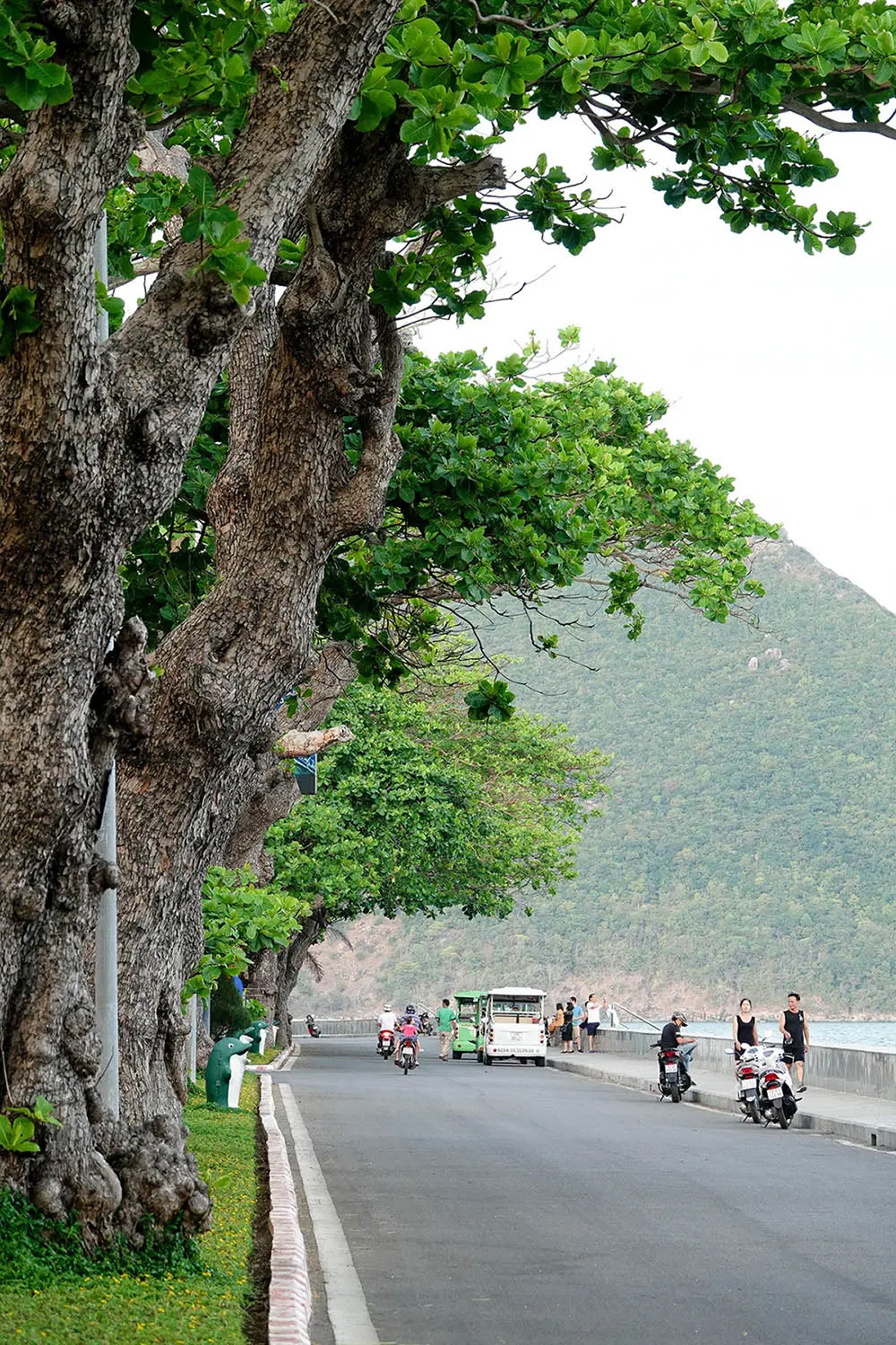C&ocirc;n Đảo m&ugrave;a biển động, đ&acirc;u cần nắng nơi đ&acirc;y mới mộng mơ 2
