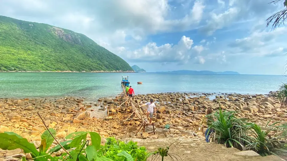 Hoạt động đỡ đẻ cho r&ugrave;a biển đầy th&uacute; vị tại C&ocirc;n Đảo 2
