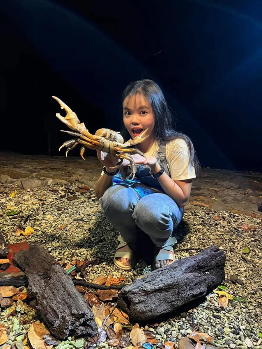 Hoạt động đỡ đẻ cho r&ugrave;a biển đầy th&uacute; vị tại C&ocirc;n Đảo 3