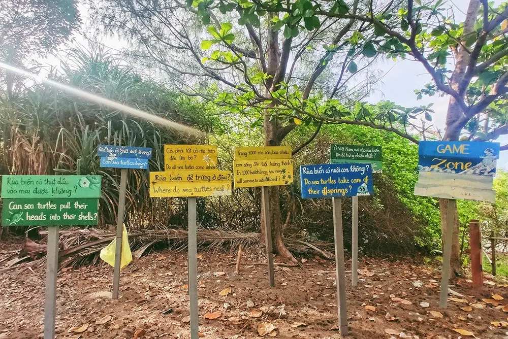Th&uacute; vị h&agrave;nh tr&igrave;nh thả r&ugrave;a con ở C&ocirc;n Đảo của Mavis Vi Vu K&yacute; 3