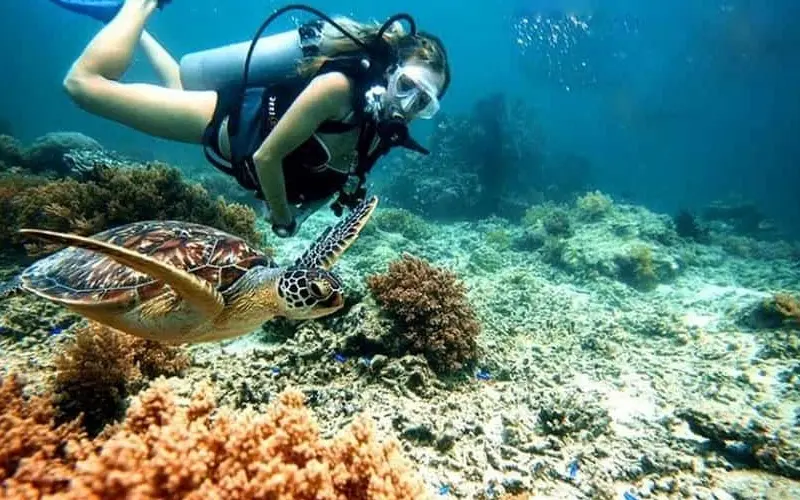 Top 7 b&atilde;i biển C&ocirc;n Đảo đẹp nhất m&agrave; du kh&aacute;ch kh&ocirc;ng n&ecirc;n bỏ lỡ 11
