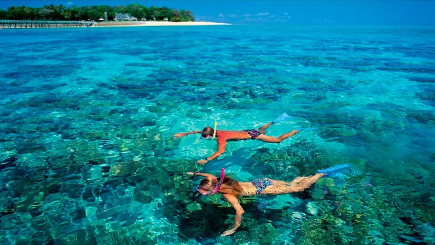Lưu ngay Lịch tr&igrave;nh ngắm san h&ocirc; xem V&iacute;ch ở C&ocirc;n Đảo si&ecirc;u th&uacute; vị 6