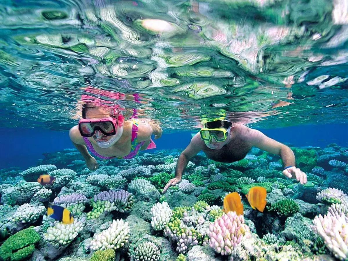 Lưu ngay Lịch tr&igrave;nh ngắm san h&ocirc; xem V&iacute;ch ở C&ocirc;n Đảo si&ecirc;u th&uacute; vị 3