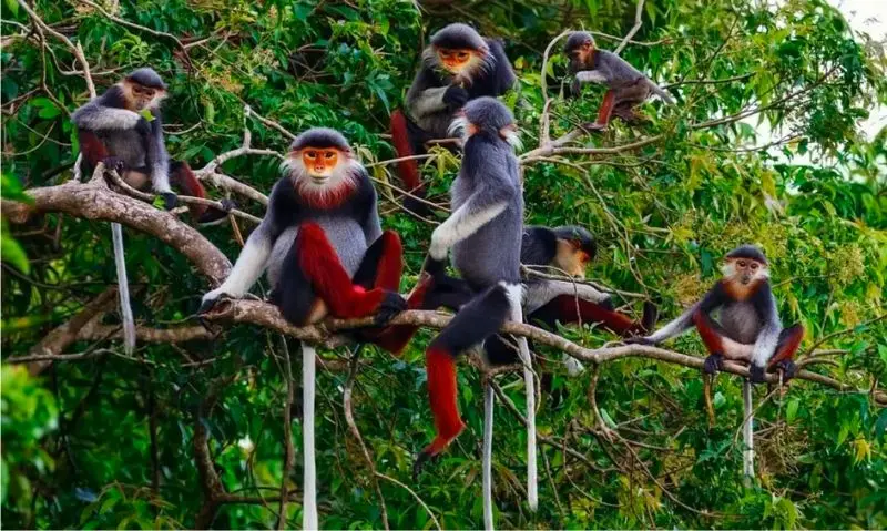 Bãi Cát Vàng với vẻ đẹp quyến rũ đốn tim người yêu biển 10