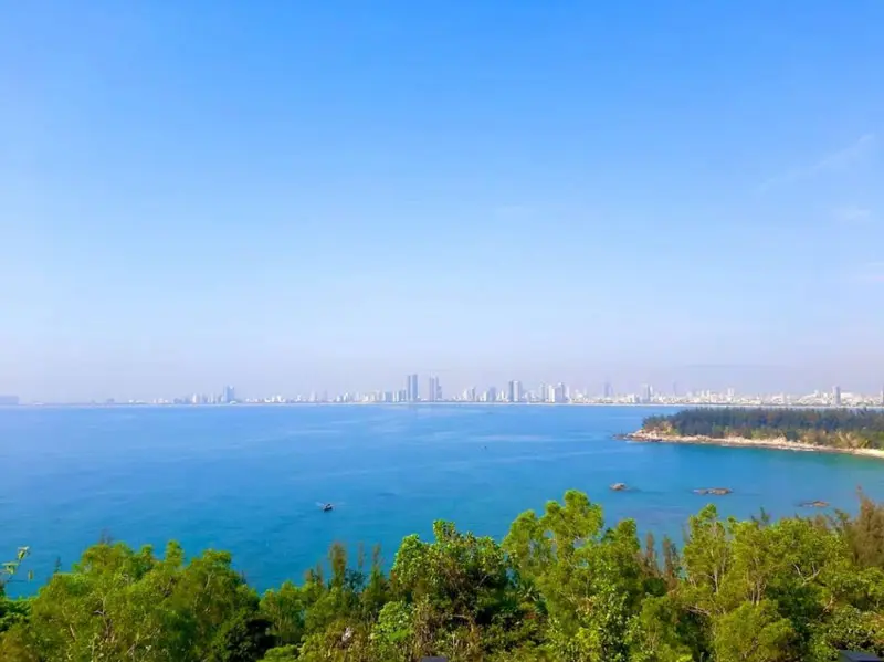 C&acirc;y đa ng&agrave;n năm Sơn Tr&agrave;, biểu tượng của sự sống bất diệt c&ugrave;ng thời gian 9