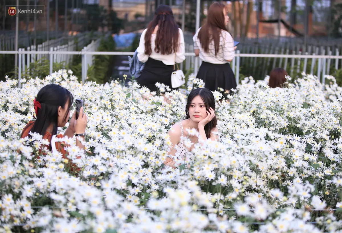 Hỡi những người sắp tỏ t&igrave;nh với crush, hạ c&aacute;nh ngay vườn c&uacute;c họa mi Đ&agrave; Nẵng! 9