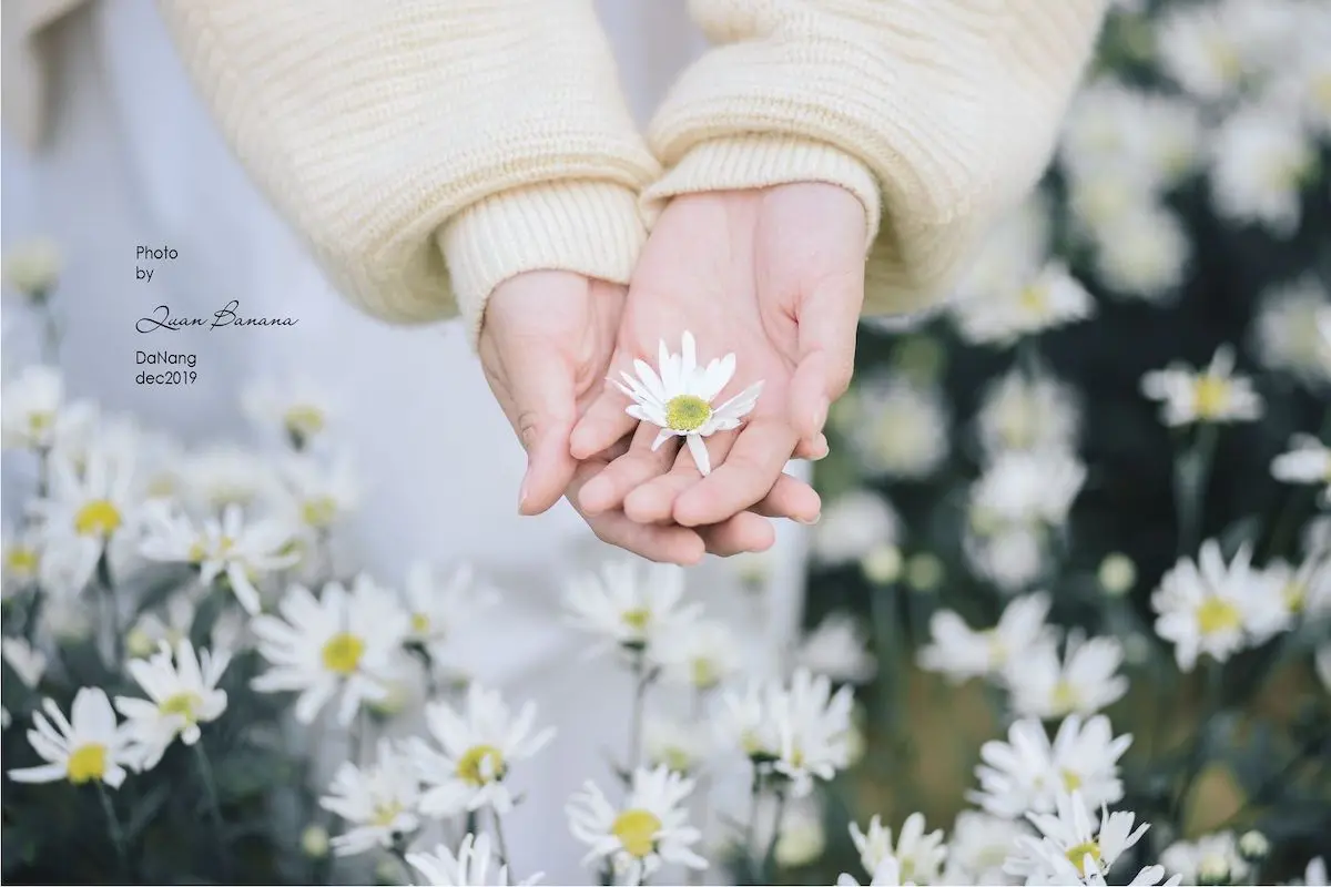 Hỡi những người sắp tỏ t&igrave;nh với crush, hạ c&aacute;nh ngay vườn c&uacute;c họa mi Đ&agrave; Nẵng! 4