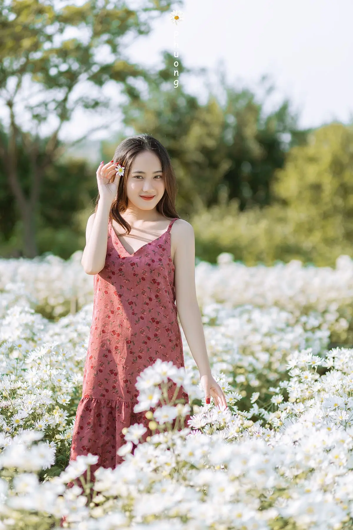 Hỡi những người sắp tỏ t&igrave;nh với crush, hạ c&aacute;nh ngay vườn c&uacute;c họa mi Đ&agrave; Nẵng! 5