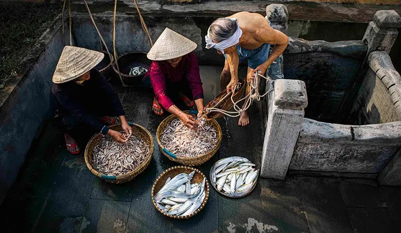 L&agrave;ng nghề nước mắm Nam &Ocirc;, di sản văn h&oacute;a đậm đ&agrave; hương vị biển 4