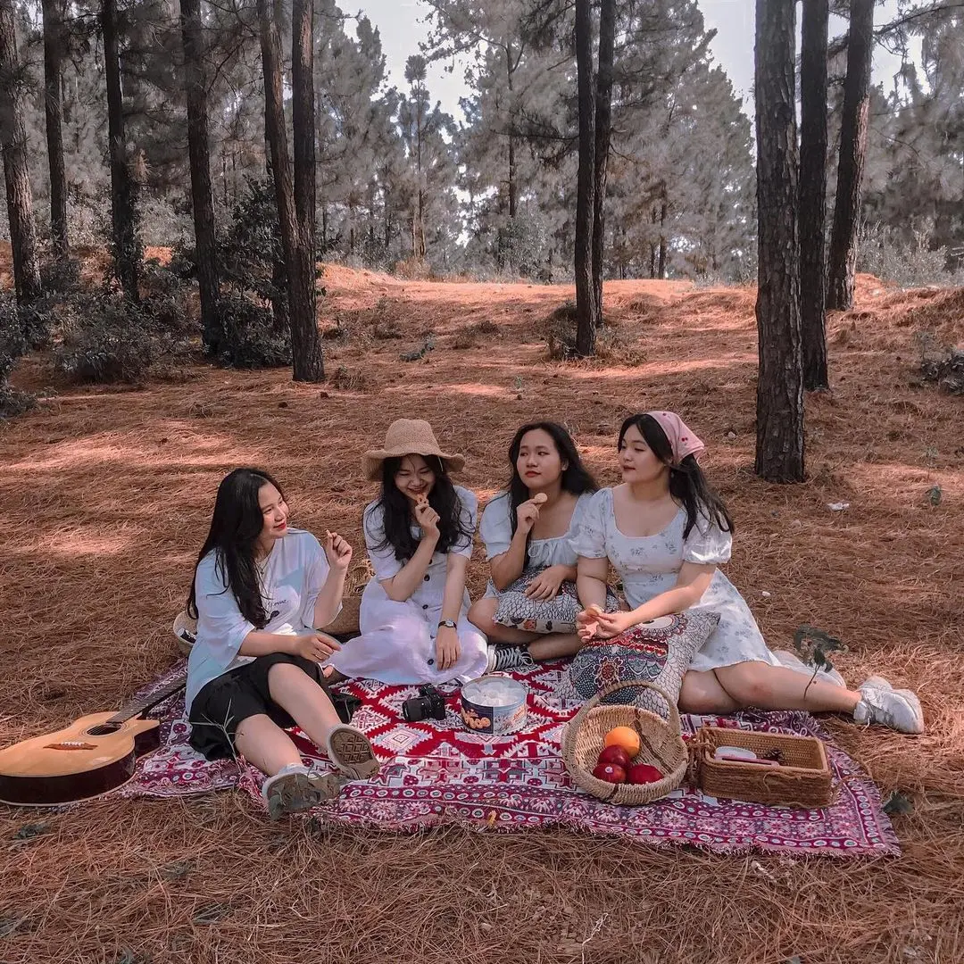 Rừng th&ocirc;ng Bồ Bồ - Đột nhập tiểu Đ&agrave; Lạt giữa l&ograve;ng Đ&agrave; Nẵng 7