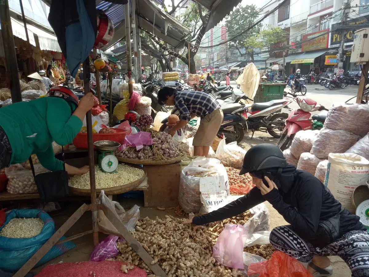 Kinh nghiệm c&agrave;n qu&eacute;t chợ Cồn Đ&agrave; Nẵng, kh&aacute;m ph&aacute; thi&ecirc;n đường ẩm thực 2
