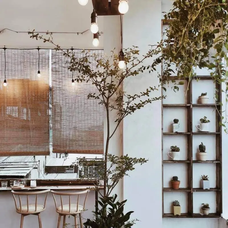 Sleeping Wood Caf&eacute; - Qu&aacute;n caf&eacute; đầy b&igrave;nh dị, ch&acirc;n th&agrave;nh, đ&aacute;ng y&ecirc;u ở Đ&agrave; Nẵng 20