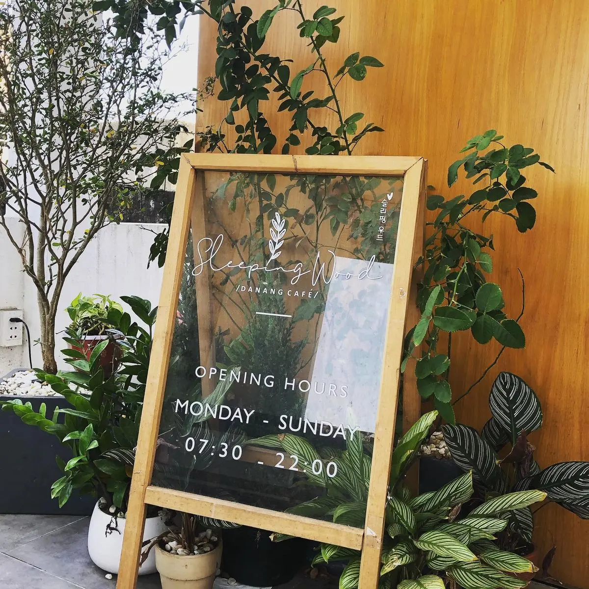 Sleeping Wood Caf&eacute; - Qu&aacute;n caf&eacute; đầy b&igrave;nh dị, ch&acirc;n th&agrave;nh, đ&aacute;ng y&ecirc;u ở Đ&agrave; Nẵng 2