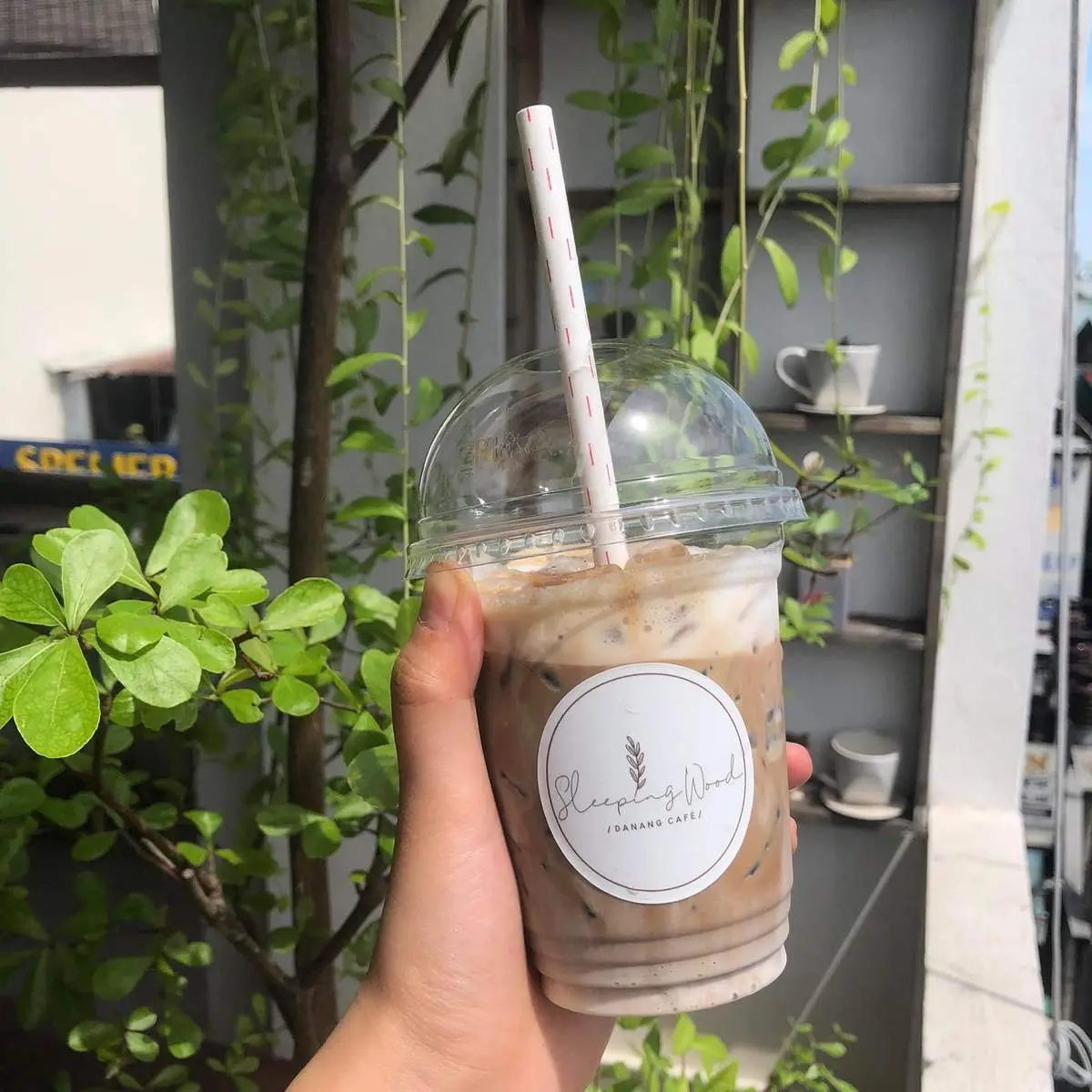 Sleeping Wood Caf&eacute; - Qu&aacute;n caf&eacute; đầy b&igrave;nh dị, ch&acirc;n th&agrave;nh, đ&aacute;ng y&ecirc;u ở Đ&agrave; Nẵng 13