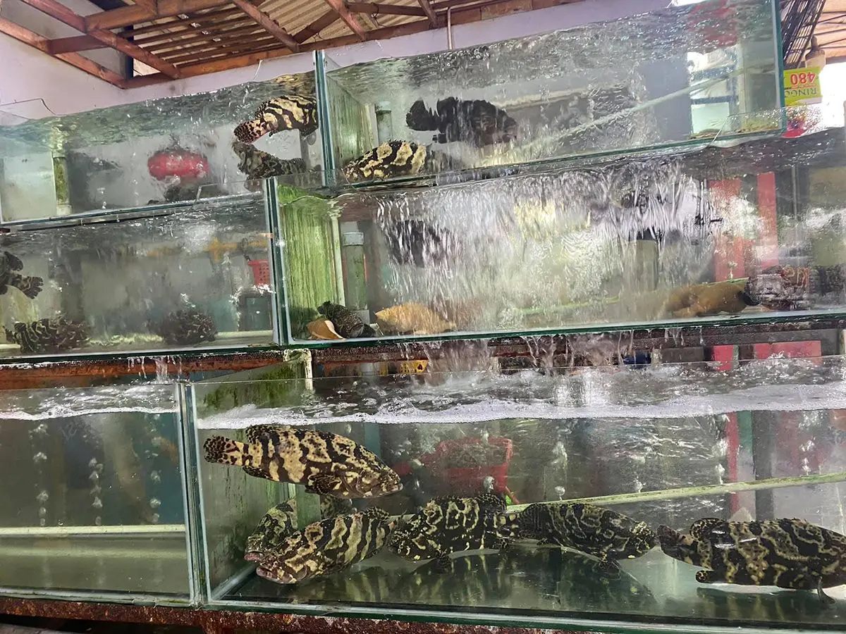 Tận hưởng ẩm thực miền biển với 10 qu&aacute;n hải sản tươi ngon Đ&agrave; Nẵng 6