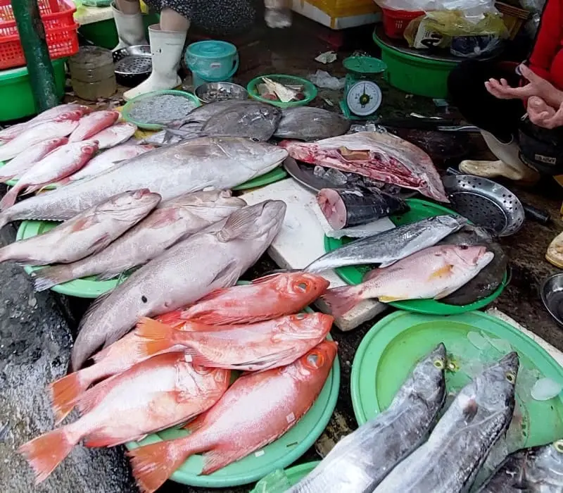 Chợ Mân Thái, chợ chiều sầm uất nức tiếng Đà thành