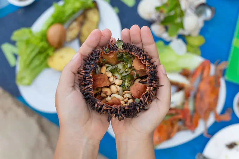 Cẩm nang du lịch C&ugrave; lao Ch&agrave;m: H&agrave;nh tr&igrave;nh về miền đảo xanh trữ t&igrave;nh 11